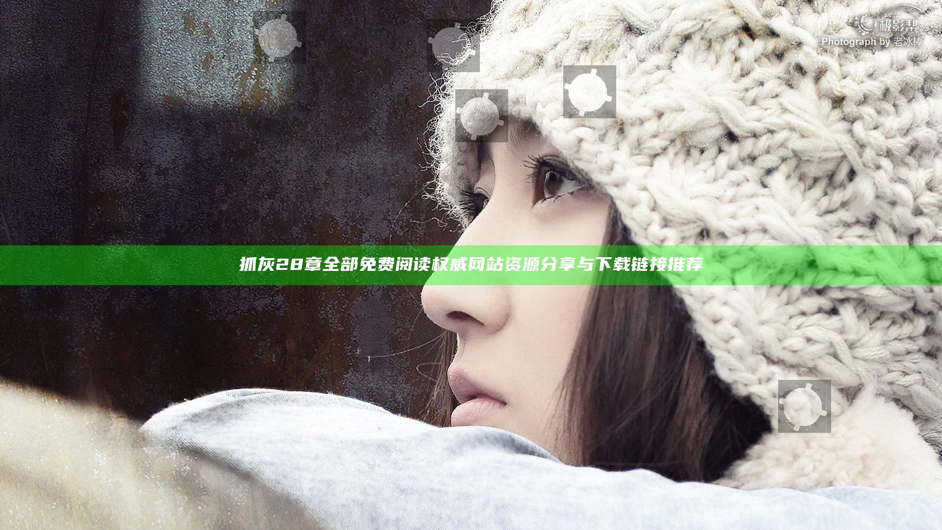 抓灰28章全部免费阅读 权威网站资源分享与下载链接推荐